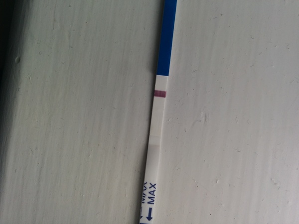 Our super healthy fanjos just love getting their five a day but we draw the line at frozen poopsicles. We're the 25th JS Grads!