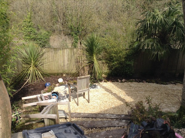 Here's my half empty tropical style garden, what can I fill it with?