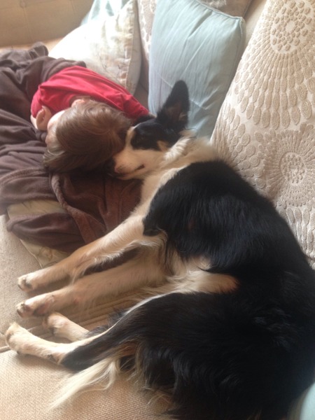 Is there a shameless photo sharing thread for our pooches??