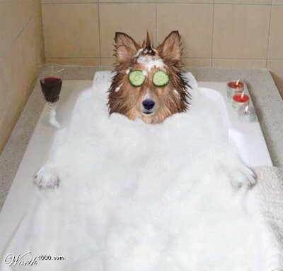 AIBU to not want my ds to have bubble baths