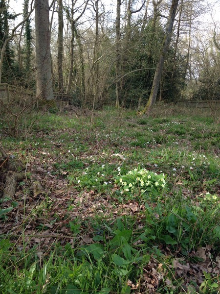 "In the spring, at the end of the day, you should smell like dirt."  This month's discussion in the potting shed.