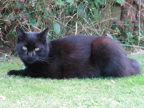 We aint no April Frugalling Fools.. There may be Showers ahead, but we'll sail through together ...