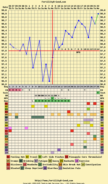 Bumsnetting Angry Pubes