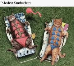 Who is being unreasonable re dog & cats?