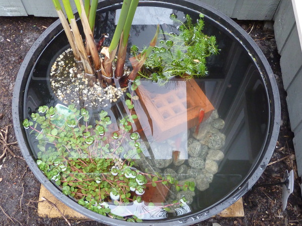 "In the spring, at the end of the day, you should smell like dirt."  This month's discussion in the potting shed.