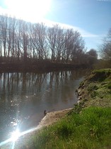 The Brave Babes Battle Bus - Shaking Off The Winter Blues And Getting Out Our Booze Free Summer Shoes!