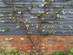 "In the spring, at the end of the day, you should smell like dirt."  This month's discussion in the potting shed.