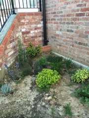 What's making your garden shine at the moment?