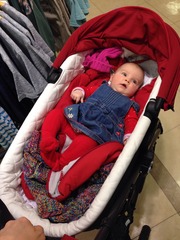 Babyjogger Deluxe Carrycot 2014