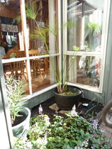 "In the spring, at the end of the day, you should smell like dirt."  This month's discussion in the potting shed.