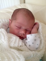 It's Spring, and the Old Birds are nesting. First hatchlings coming soon!