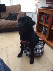 Is there a shameless photo sharing thread for our pooches??