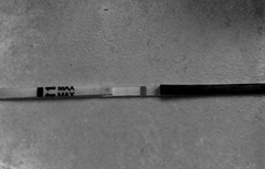 Our new greeting cards are here! We're making vaginal butter and baking in a sneaky shag from behind. Our skittletits can't hold us back - it's JS'ing 43!