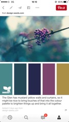 To paint my sitting room red?