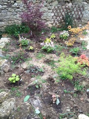 What's making your garden shine at the moment?