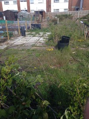 The 2015 Allotment / Veg Patch Thread Part 2