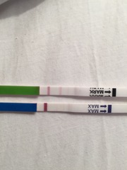 The Bumsnet/Angry Pubes Bus