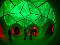 Win a Family Ticket to Arboria Luminarium at the Wheee! Festival