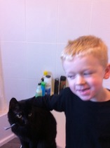 Come and sing the praises for your black/black and white cats