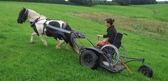 To ask you what you TRUTHFULLY think when you see a 'young' and 'healthy looking' person on a mobility scooter?