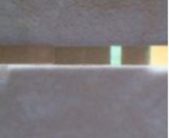 Our new greeting cards are here! We're making vaginal butter and baking in a sneaky shag from behind. Our skittletits can't hold us back - it's JS'ing 43!