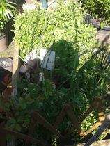 Support For Anyone That Has Lost A Parent