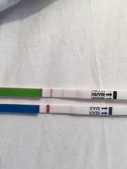 The Bumsnet/Angry Pubes Bus