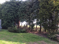 Help! I have 50m of flower bed to fill - where to start?