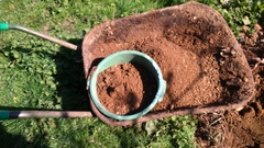 The 2015 Allotment / Veg Patch Thread Part 2