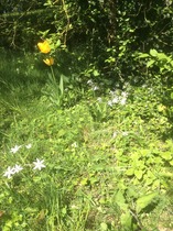 "In the spring, at the end of the day, you should smell like dirt."  This month's discussion in the potting shed.
