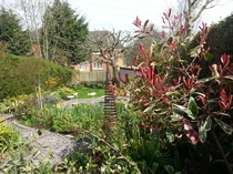 The 2015 Allotment / Veg Patch Thread Part 2