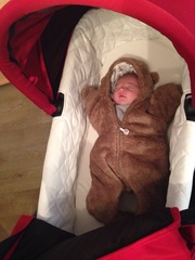 Babyjogger Deluxe Carrycot 2014