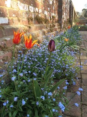 "In the spring, at the end of the day, you should smell like dirt."  This month's discussion in the potting shed.