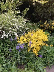 "In the spring, at the end of the day, you should smell like dirt."  This month's discussion in the potting shed.