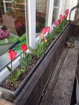"In the spring, at the end of the day, you should smell like dirt."  This month's discussion in the potting shed.