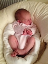 It's Spring, and the Old Birds are nesting. First hatchlings coming soon!