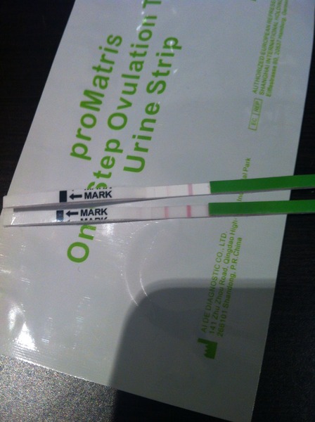 We may all have the --rabies-- crazies, but we don’t need no ‘hints’ thanks!  Grab yourself a (small) cider, get your sex towels at the ready, it’s Just Shagging 47!