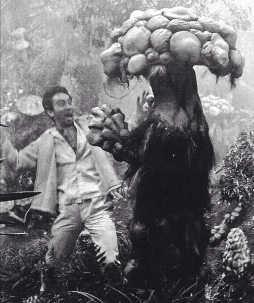 What the bloody hell is this creature in my outhouse?? [pic]