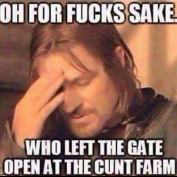 To think if you have an assistance dog....