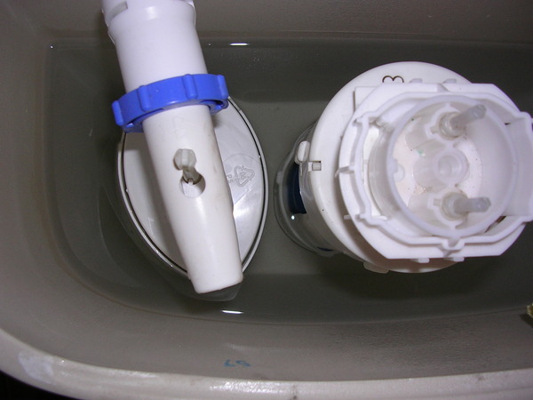 Toilet leaking clean water at tap connector valve