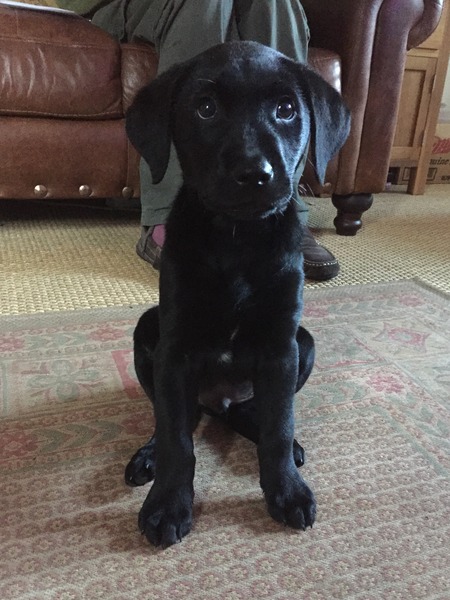 Well we're making some progress with Monty in some areas, not so much in others!
