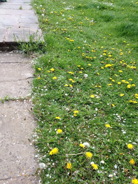 "In the spring, at the end of the day, you should smell like dirt."  This month's discussion in the potting shed.