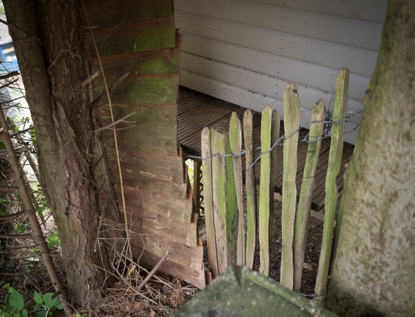 Price of fences and decking, not a clue!  Help!