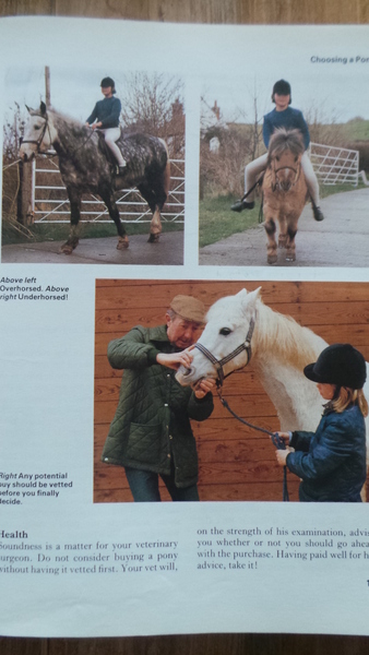 Long shot - trying to identify a pony book from my childhood!