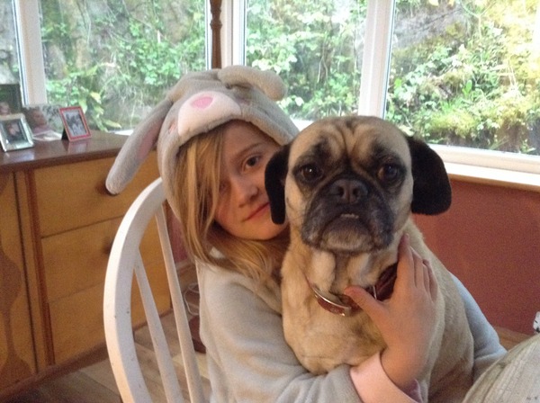 Pug/French bulldog around kids
