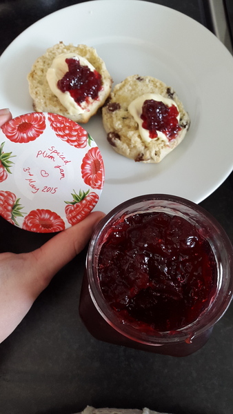 Use up 5 plums which never ripened?