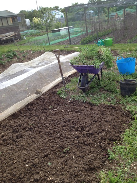 The 2015 Allotment / Veg Patch Thread Part 3 already!