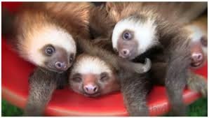 The Brave Babes Battle Bus - Shaking Off The Winter Blues And Getting Out Our Booze Free Summer Shoes!