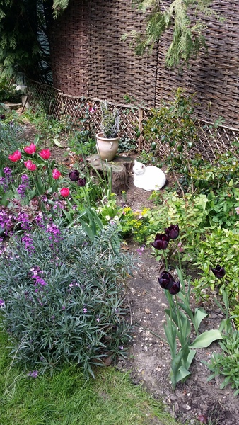 "In the spring, at the end of the day, you should smell like dirt."  This month's discussion in the potting shed.