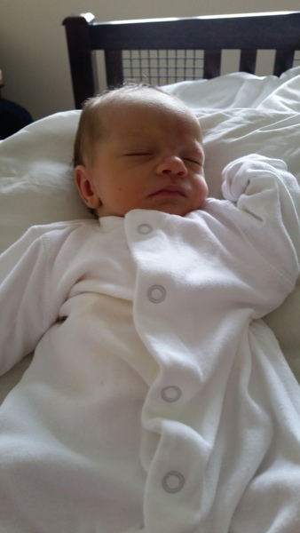 We'd rather have a finger than a funnel whilst eating our bodyweight in Raspberry Magnums to ease the fanny daggers... keep growing those babies viroids, its JS Grads no 27